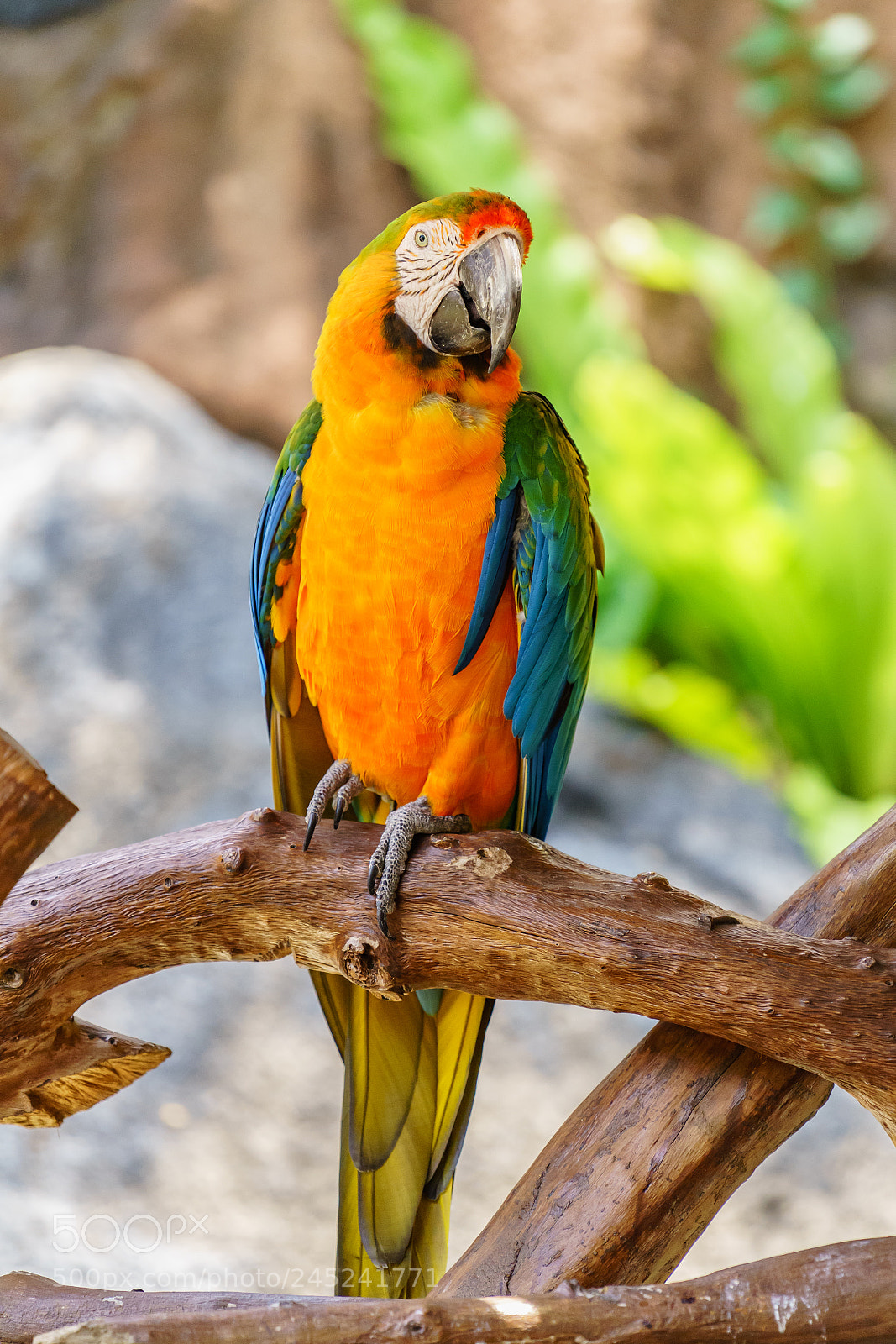Sony a7 II sample photo. Colors photography