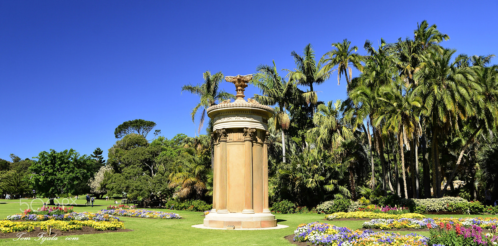 Tamron SP 24-70mm F2.8 Di VC USD sample photo. Botanic gardens - sydney photography