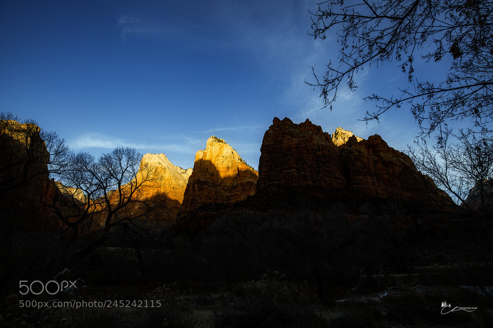 Canon EOS 6D Mark II sample photo. Zion national park photography