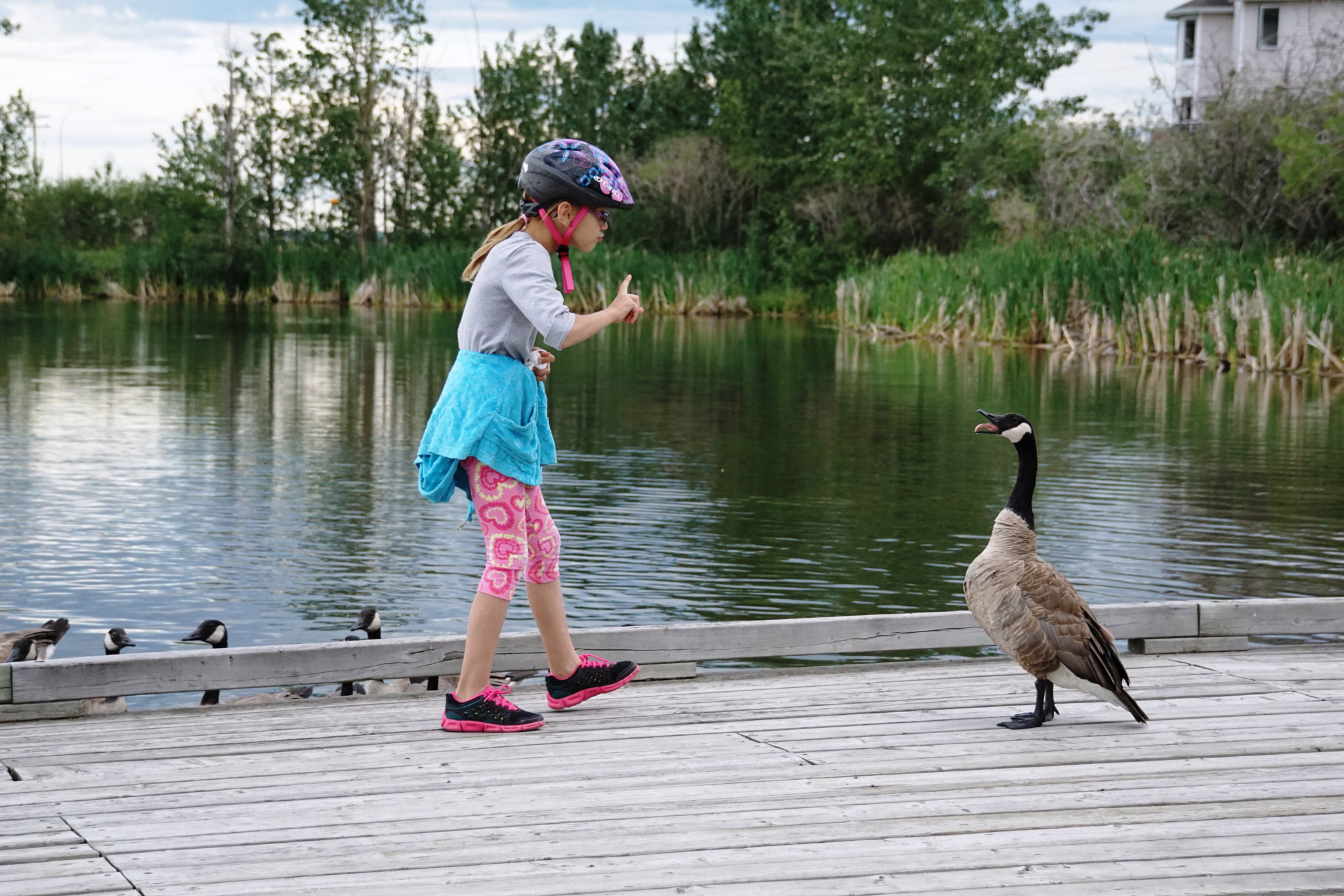 Sony a6000 + Sony FE 28-70mm F3.5-5.6 OSS sample photo. The goose whisperer photography