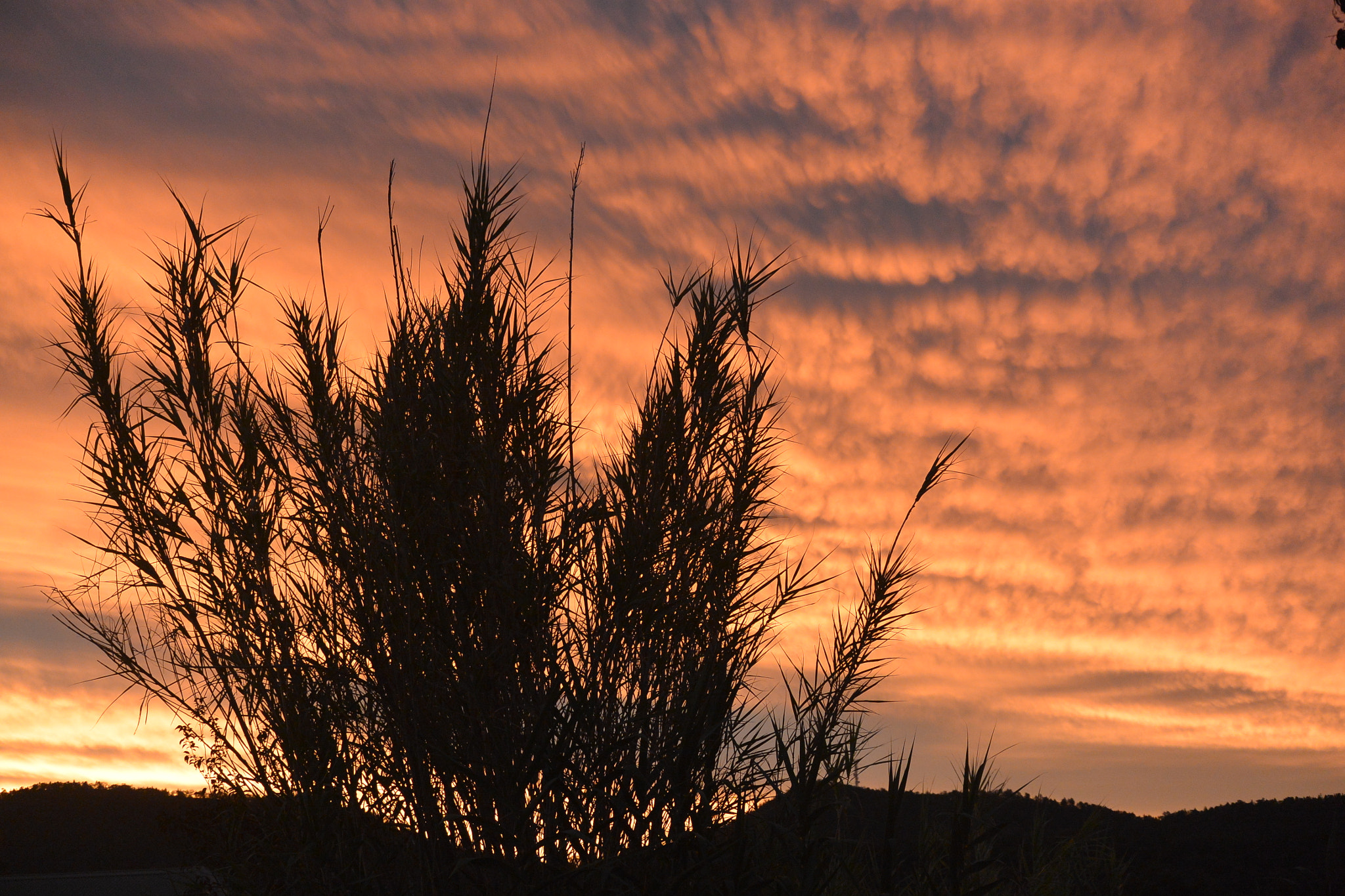 Nikon 1 AW1 sample photo. Sunset photography