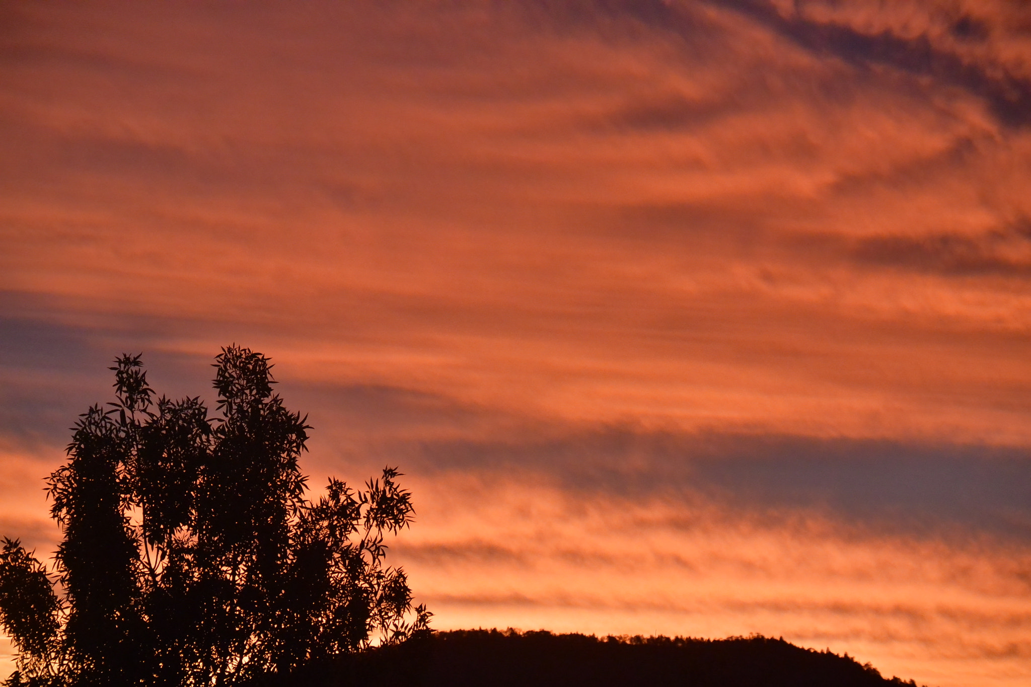 Nikon 1 AW1 sample photo. Sunset photography