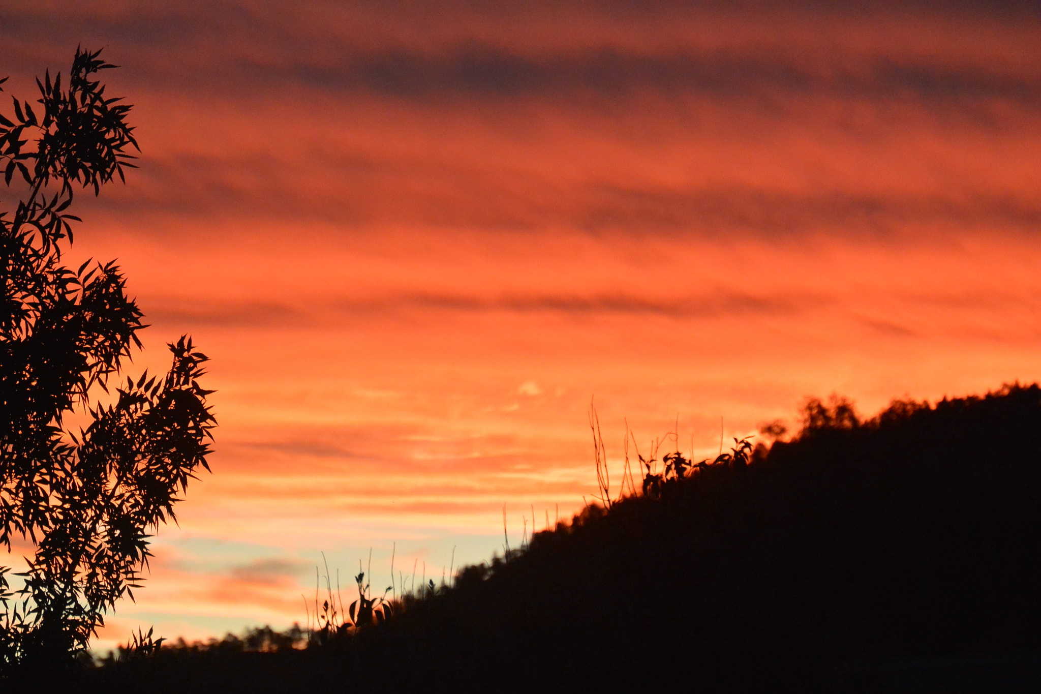 Nikon 1 AW1 sample photo. Sunset photography