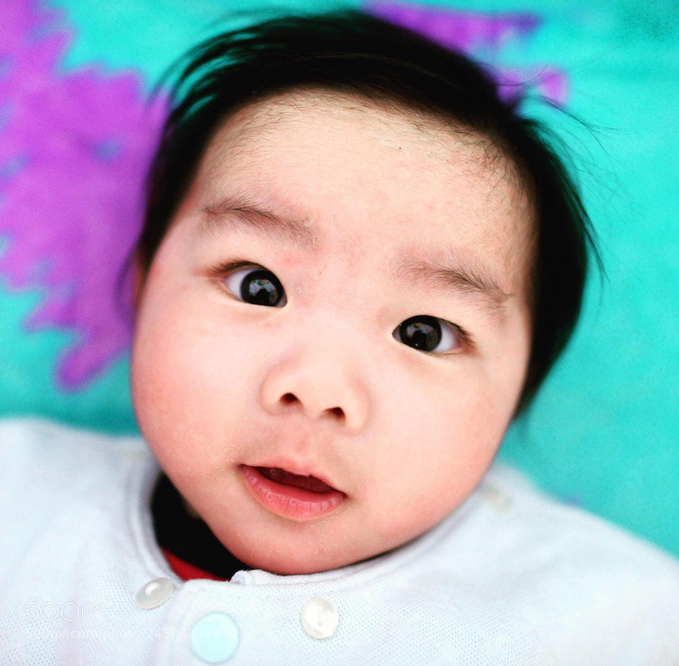 Nikon D800 sample photo. Untitled photography