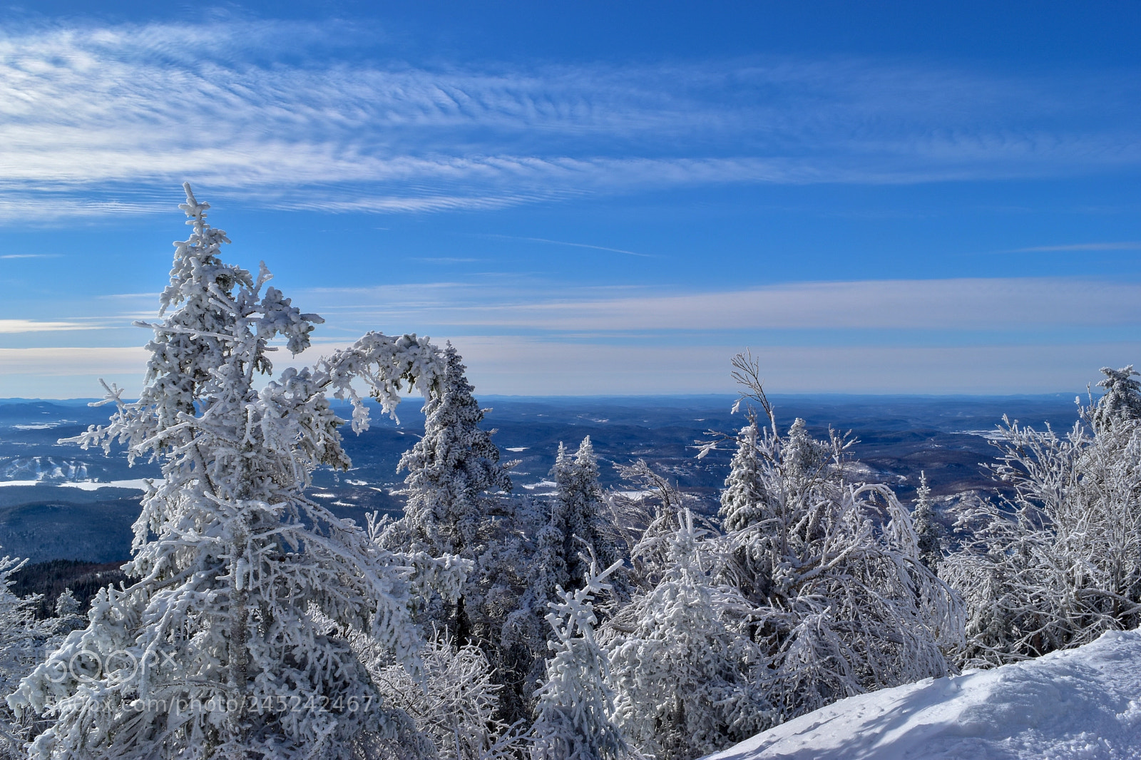 Nikon D5500 sample photo. Nice blue sky photography