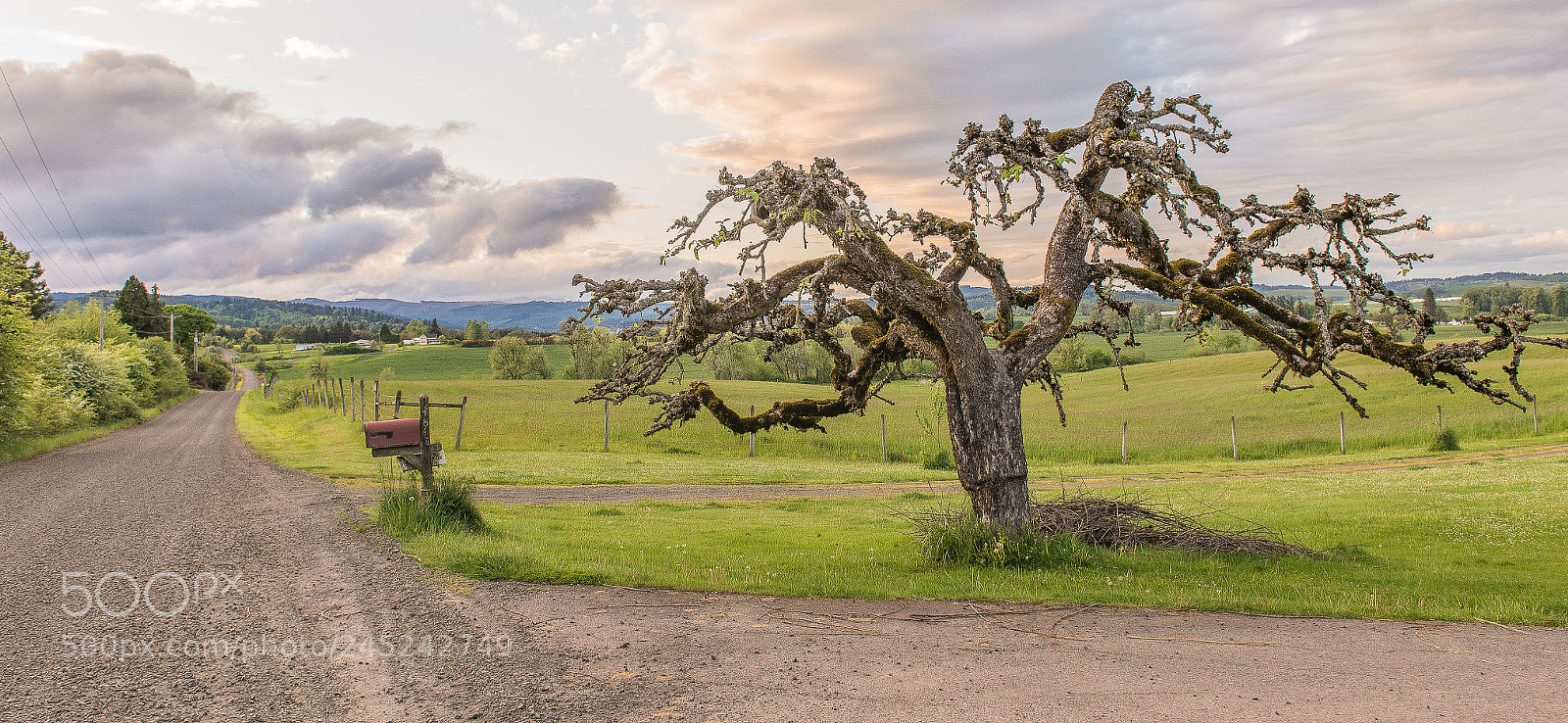 Nikon D600 sample photo. Country road photography