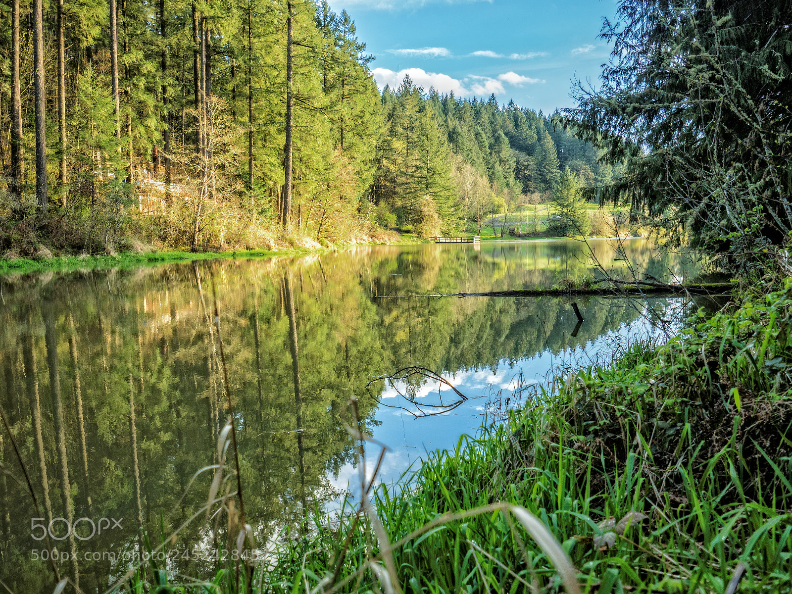 Olympus OM-D E-M5 II sample photo. Tillikum reflections photography