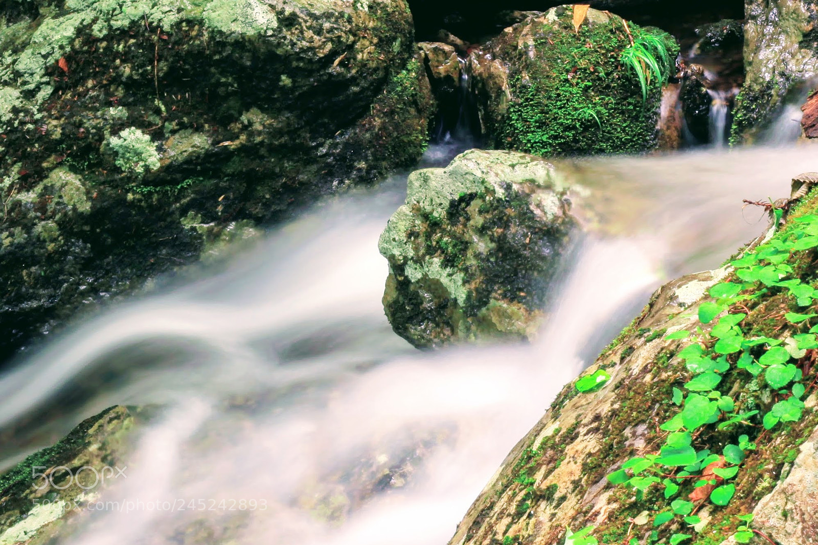 Canon EF 50mm F1.8 STM sample photo. Mask-like rock photography