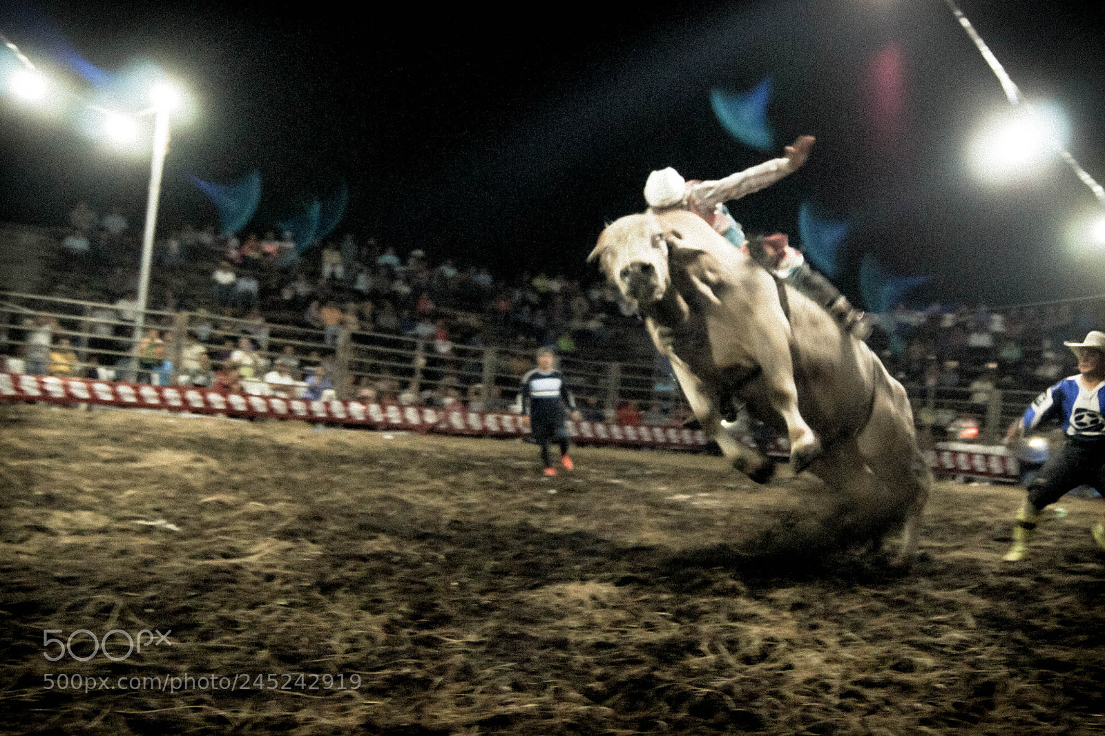 Sony Alpha DSLR-A500 sample photo. Jaripeo photography