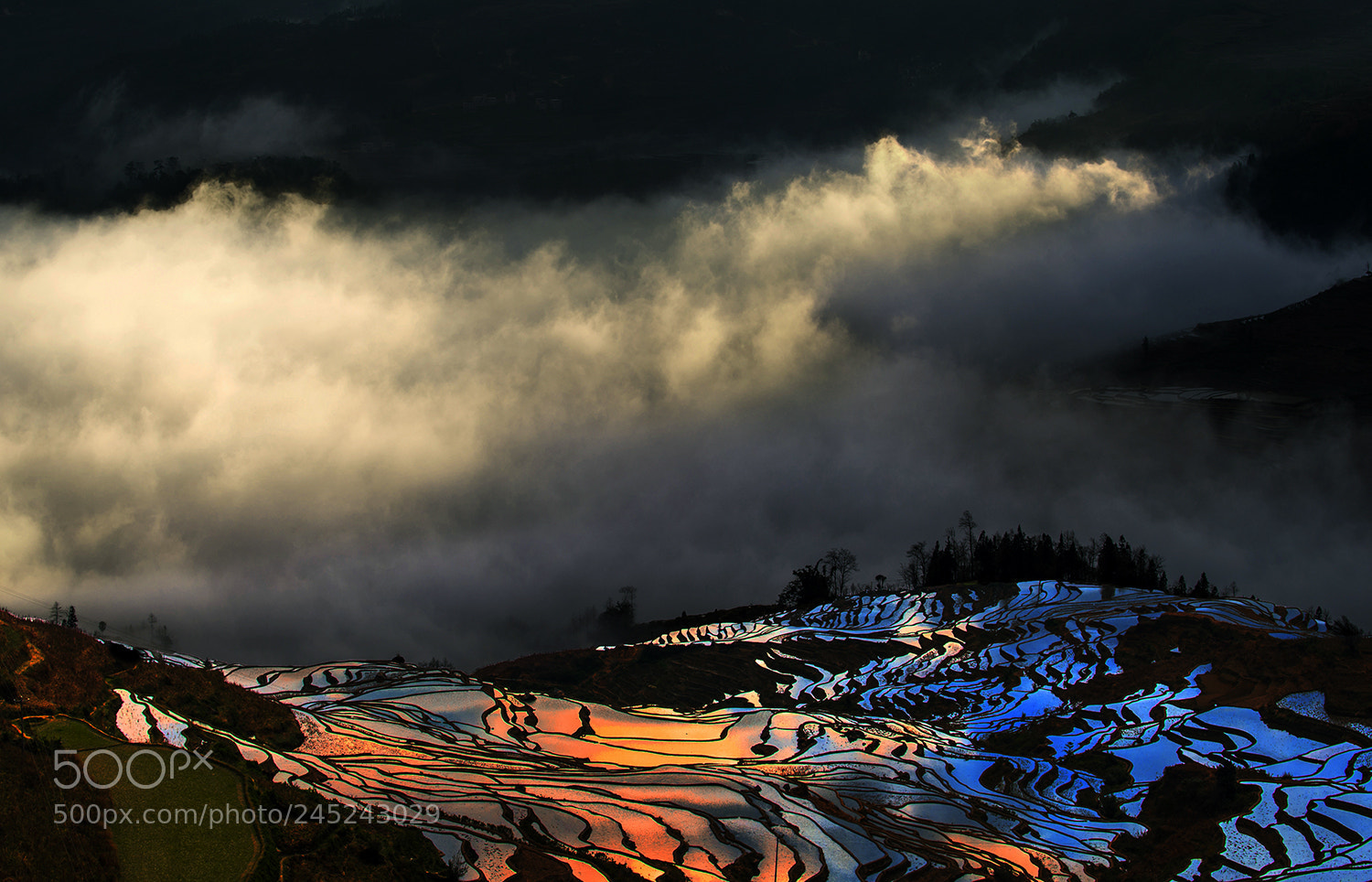 Nikon D610 sample photo. Mountain terraces photography