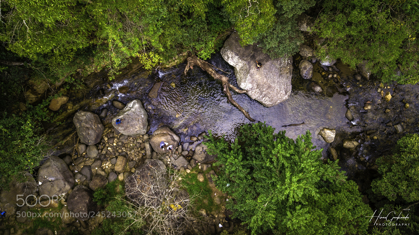 DJI FC220 sample photo. Green and water photography