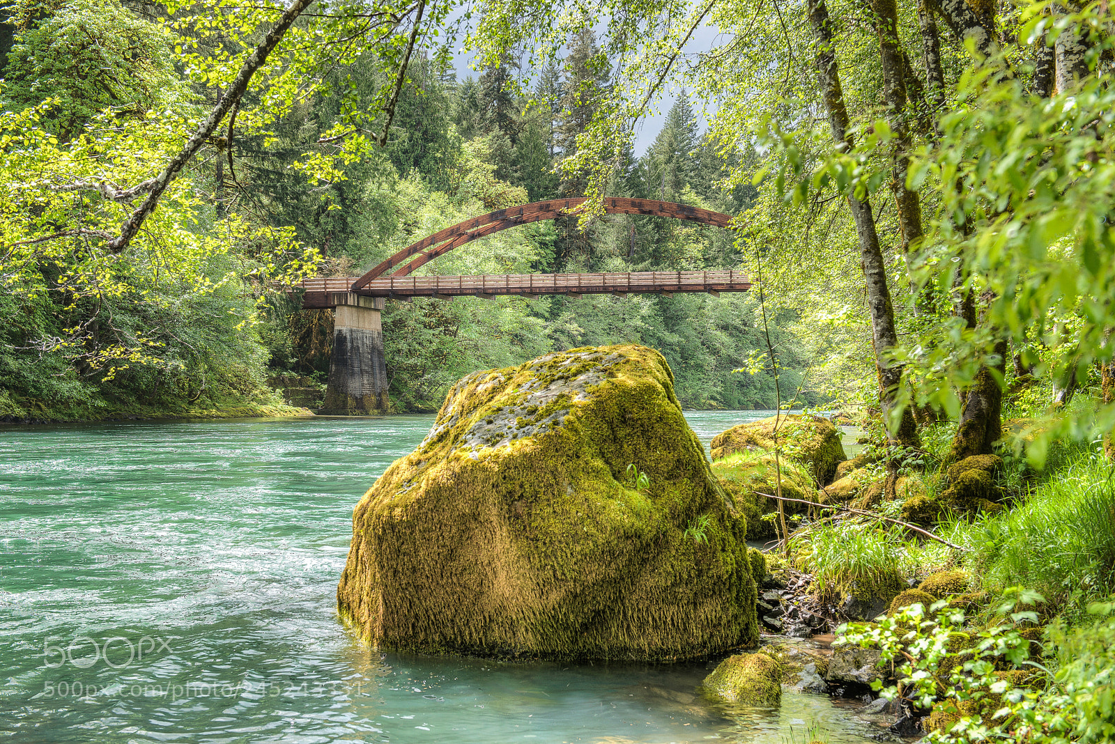 Nikon D600 sample photo. Mossy rock photography