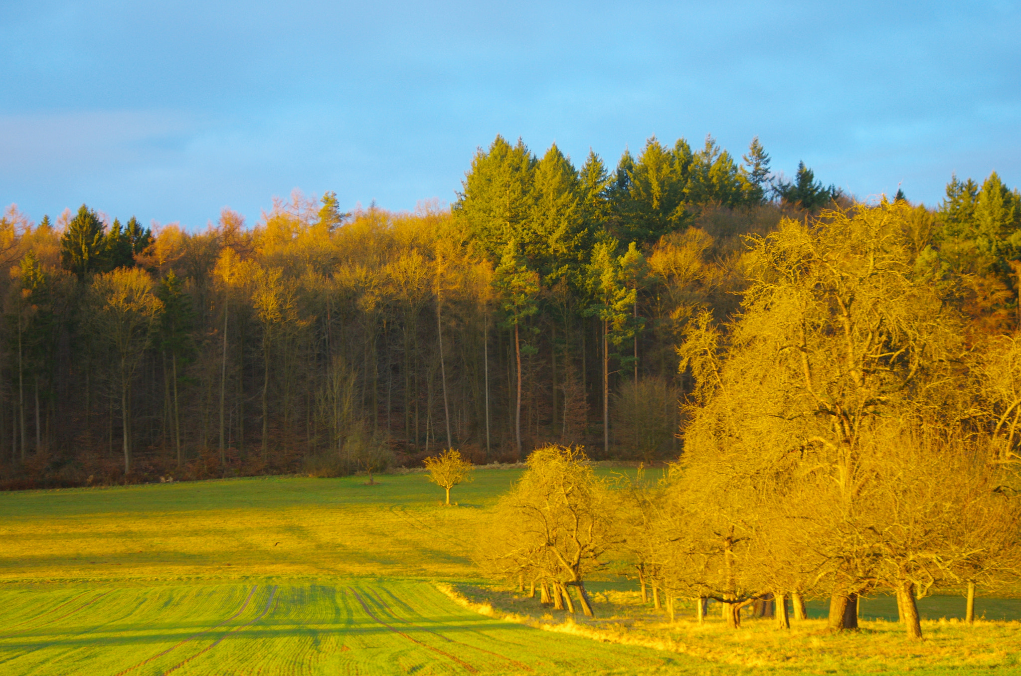 HD Pentax DA 55-300mm F4.0-5.8 ED WR sample photo. Sunny wintermorning photography