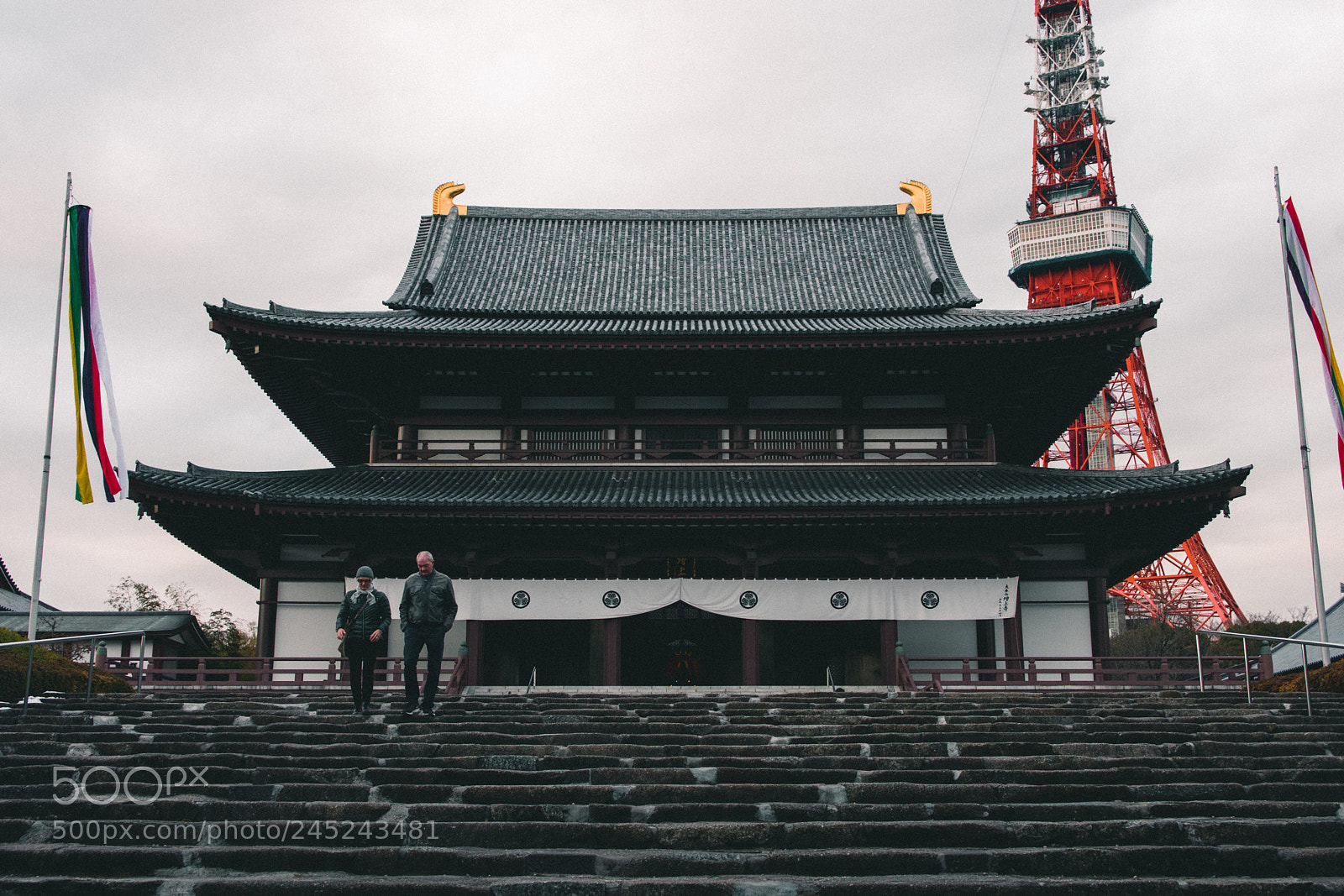 Nikon D7200 sample photo. Zozoji temple photography