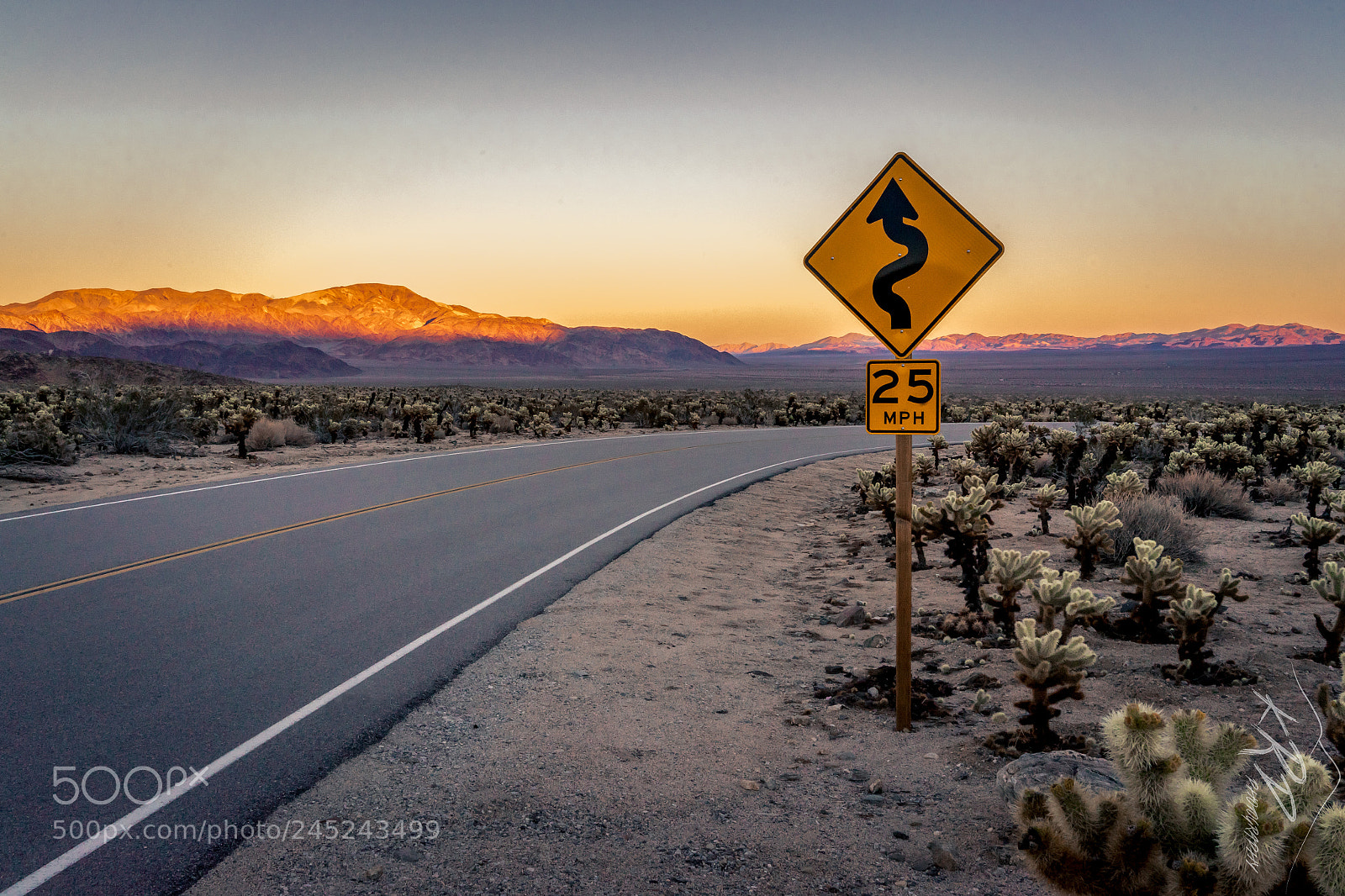 Sony a7 II sample photo. The lonley road at photography