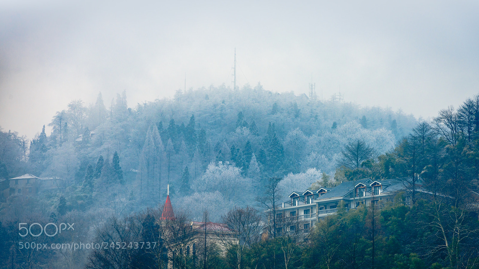 Nikon D800 sample photo. First snow photography