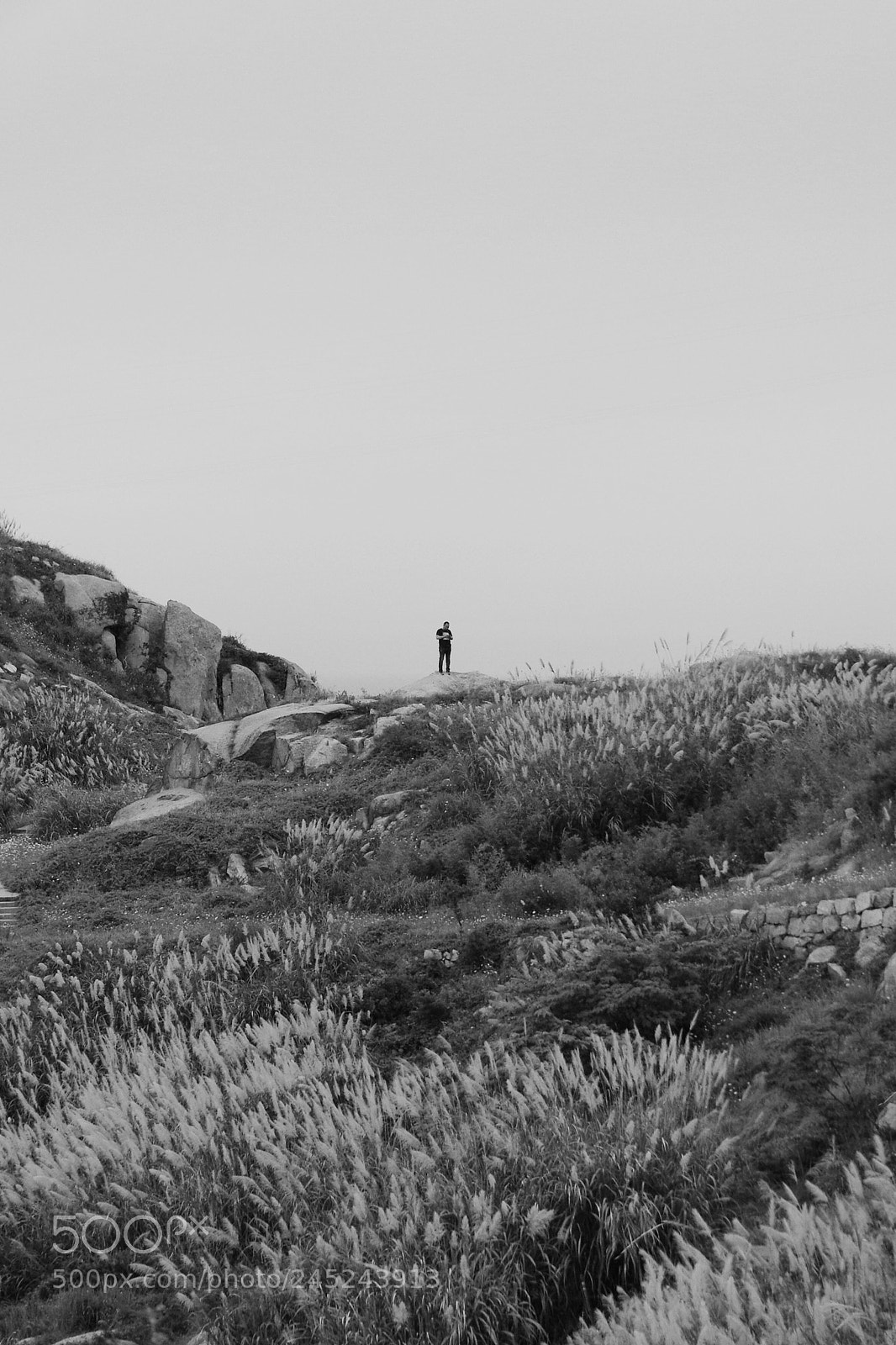 Pentax K-3 sample photo. Untitled photography