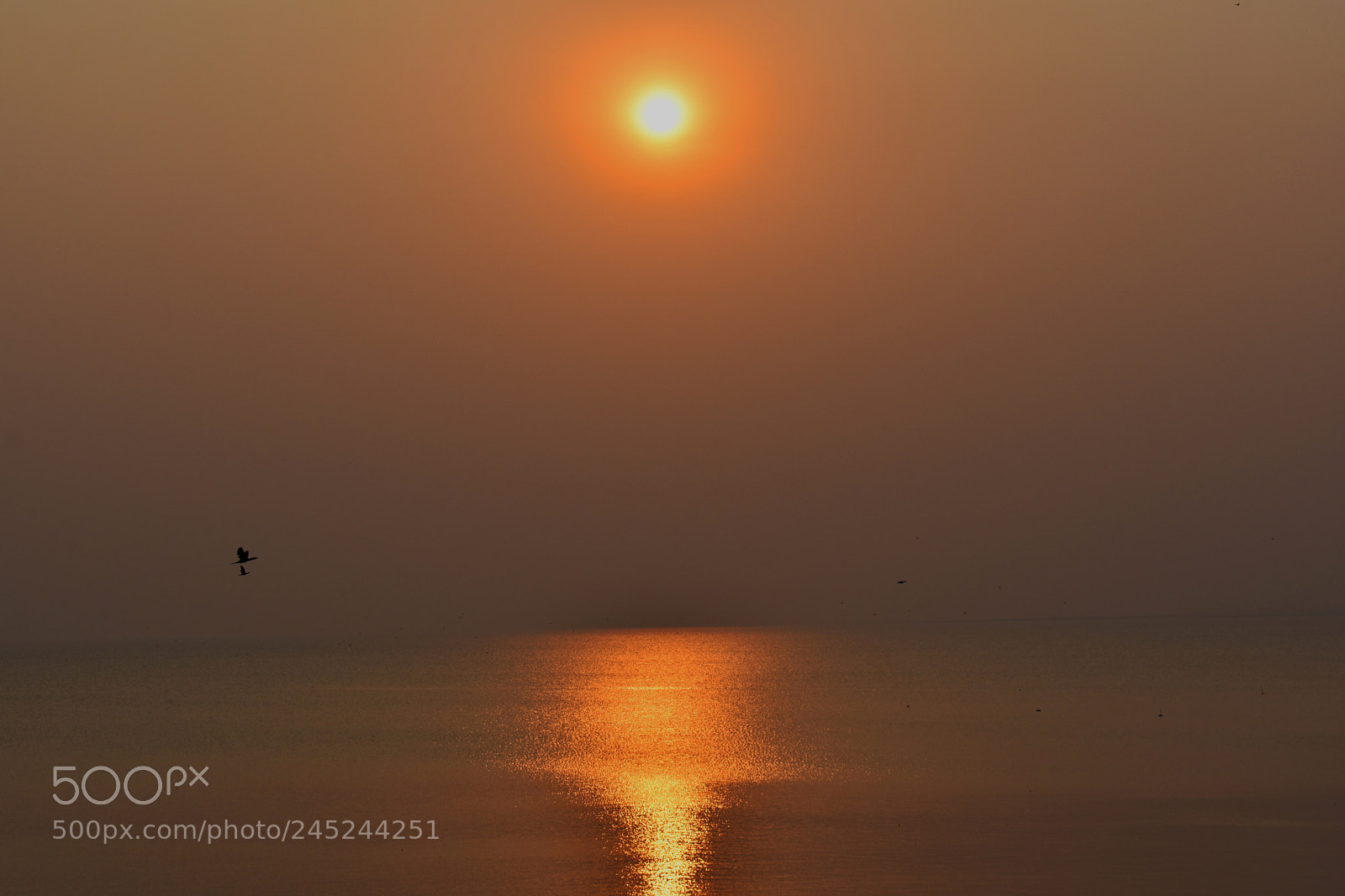 Nikon D3400 sample photo. Beautiful sunset photography