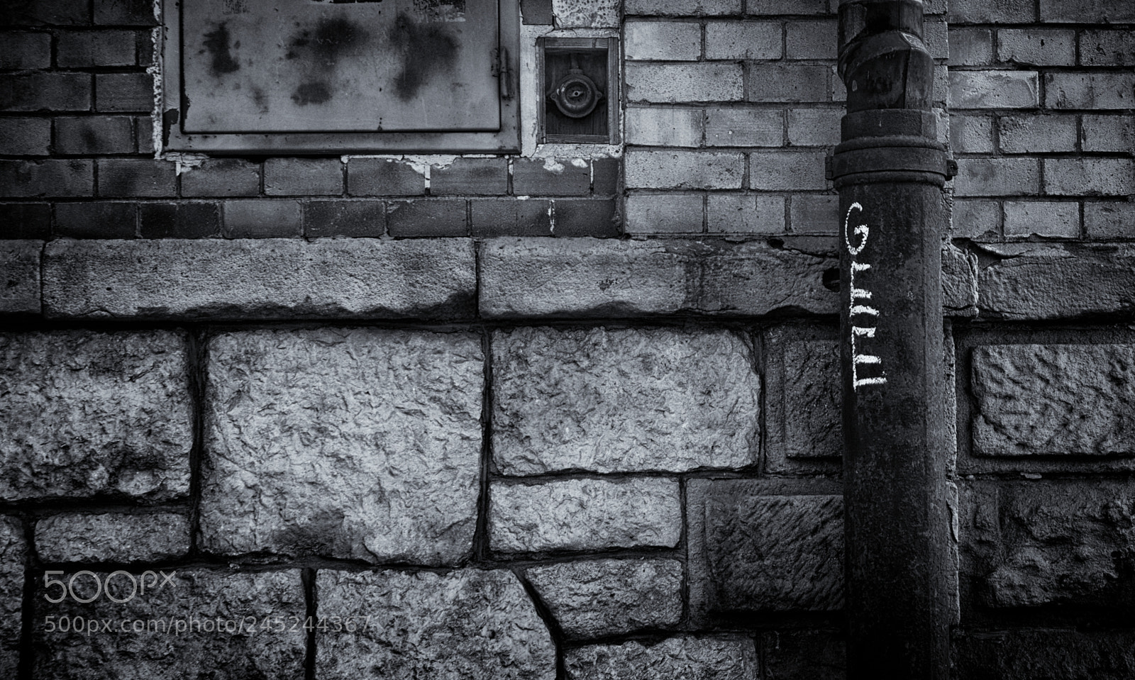 Olympus OM-D E-M10 II sample photo. Gee photography