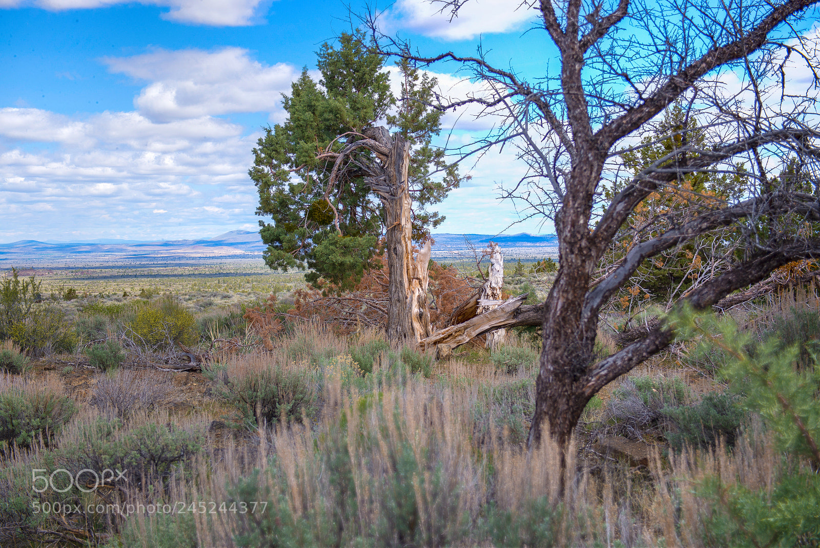 Nikon D600 sample photo. Lava national park photography