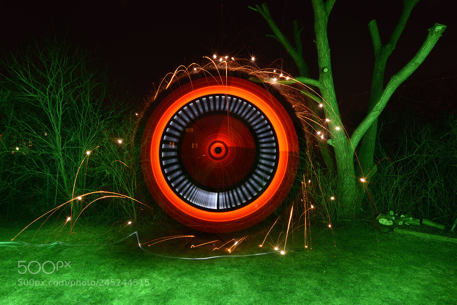 Nikon D7200 sample photo. Red and green photography
