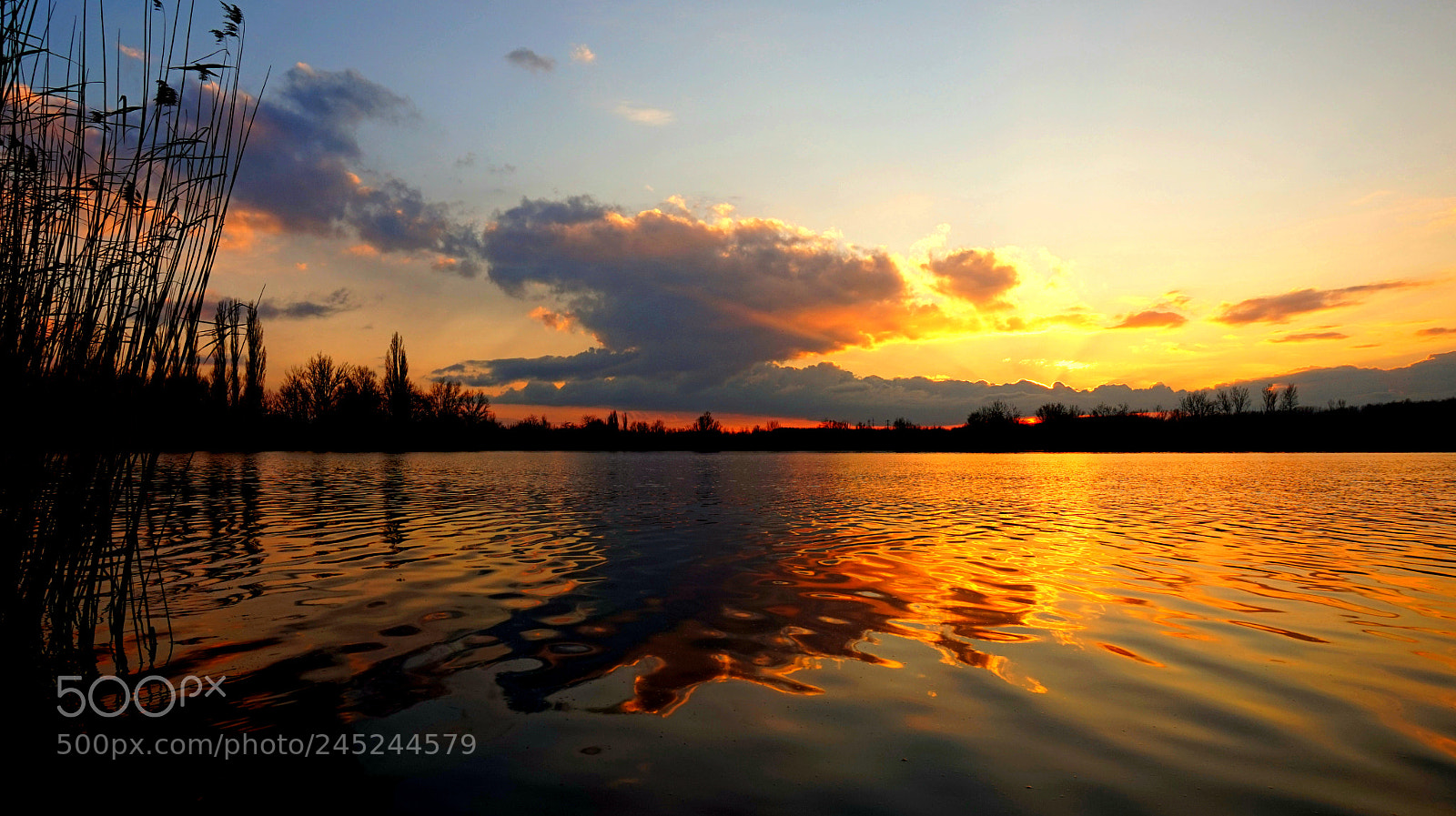 Sony Alpha a5000 (ILCE 5000) sample photo. Golden reflection photography