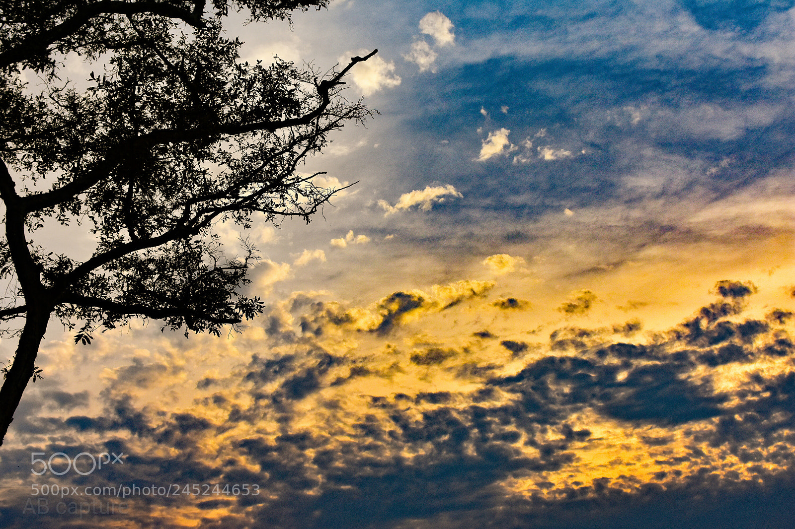 Nikon D3400 sample photo. Sky line... photography