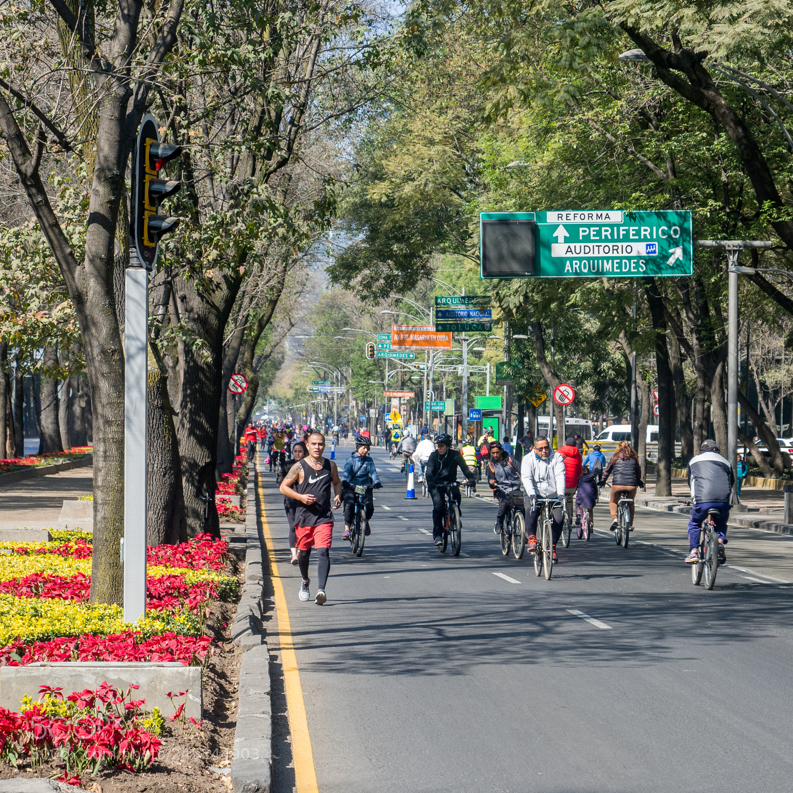 Olympus OM-D E-M10 sample photo. Ciclovía reforma photography