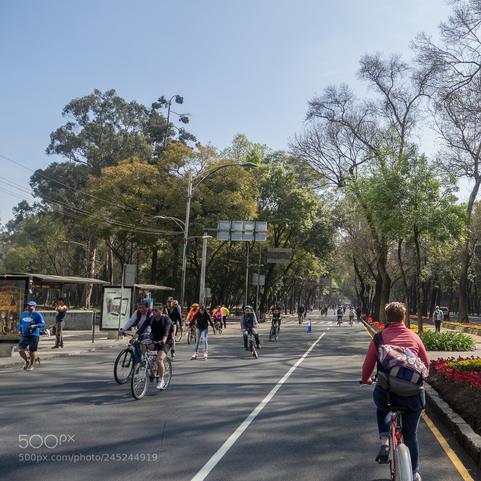 Olympus OM-D E-M10 sample photo. Ciclovía reforma photography