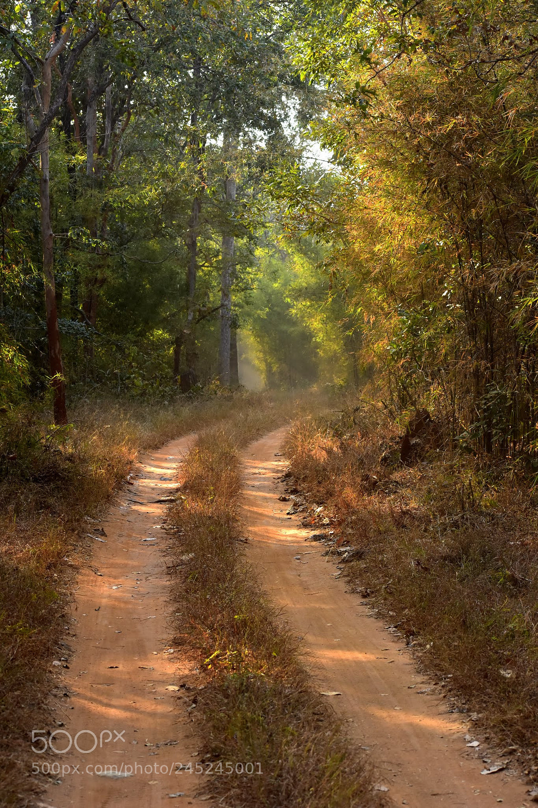 Nikon D7200 sample photo. Untitled photography