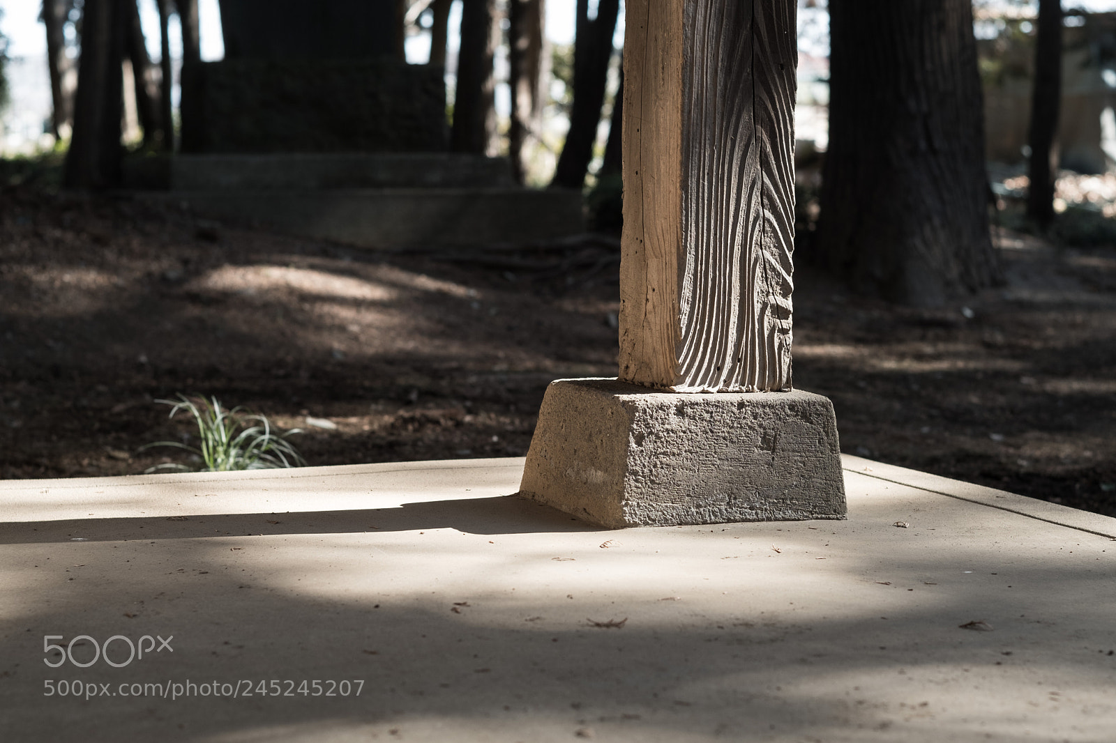 Fujifilm X-Pro2 sample photo. Wood pillar of a photography