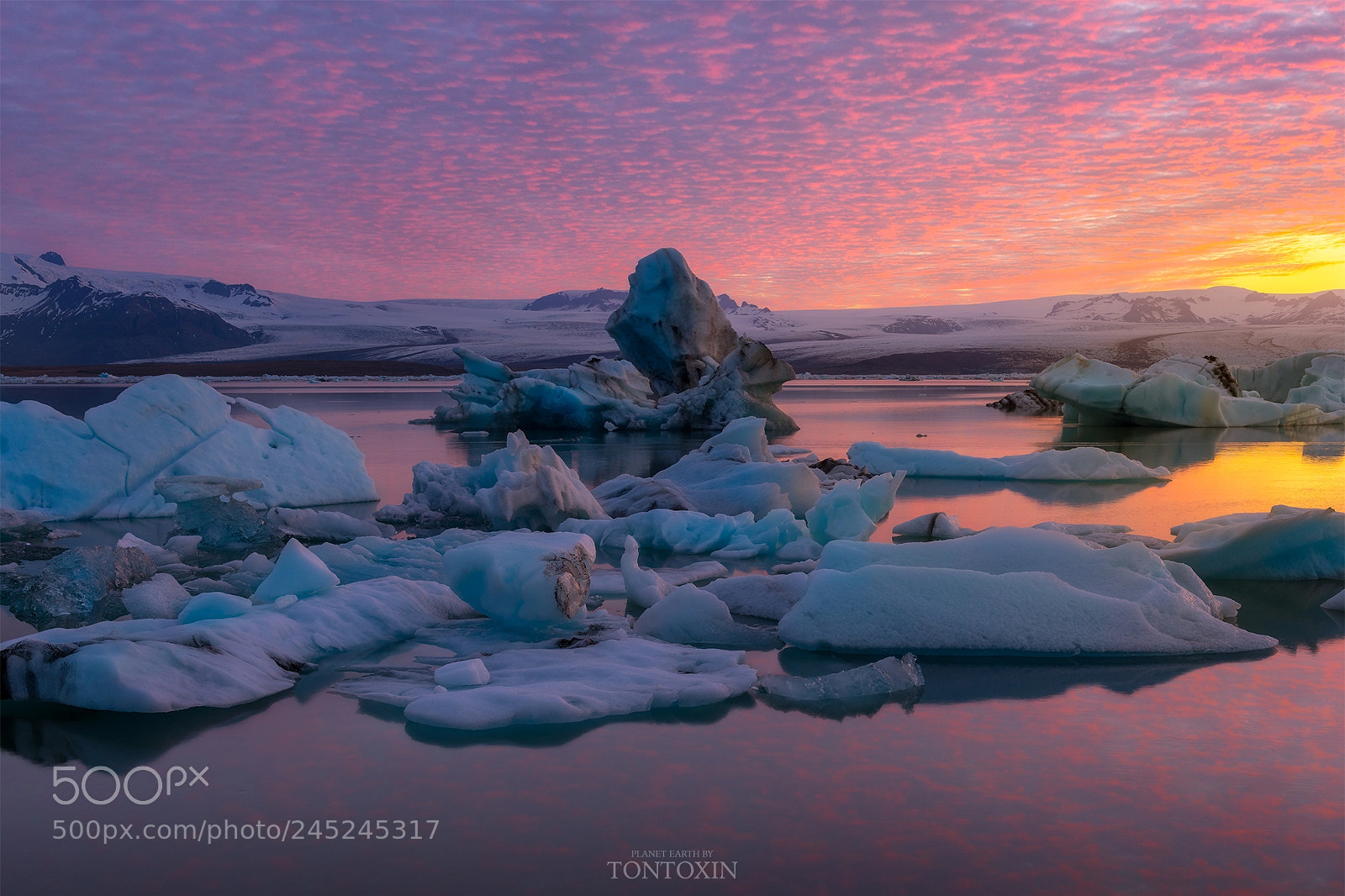 Nikon D810 sample photo. Frozen kingdom photography