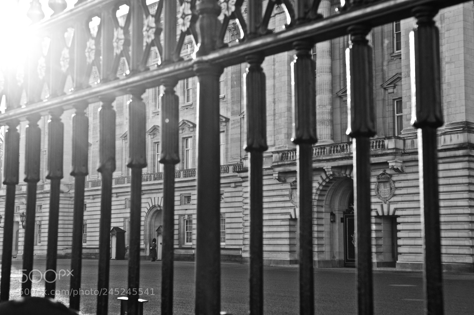 Nikon D7100 sample photo. Guard at the buckingham photography