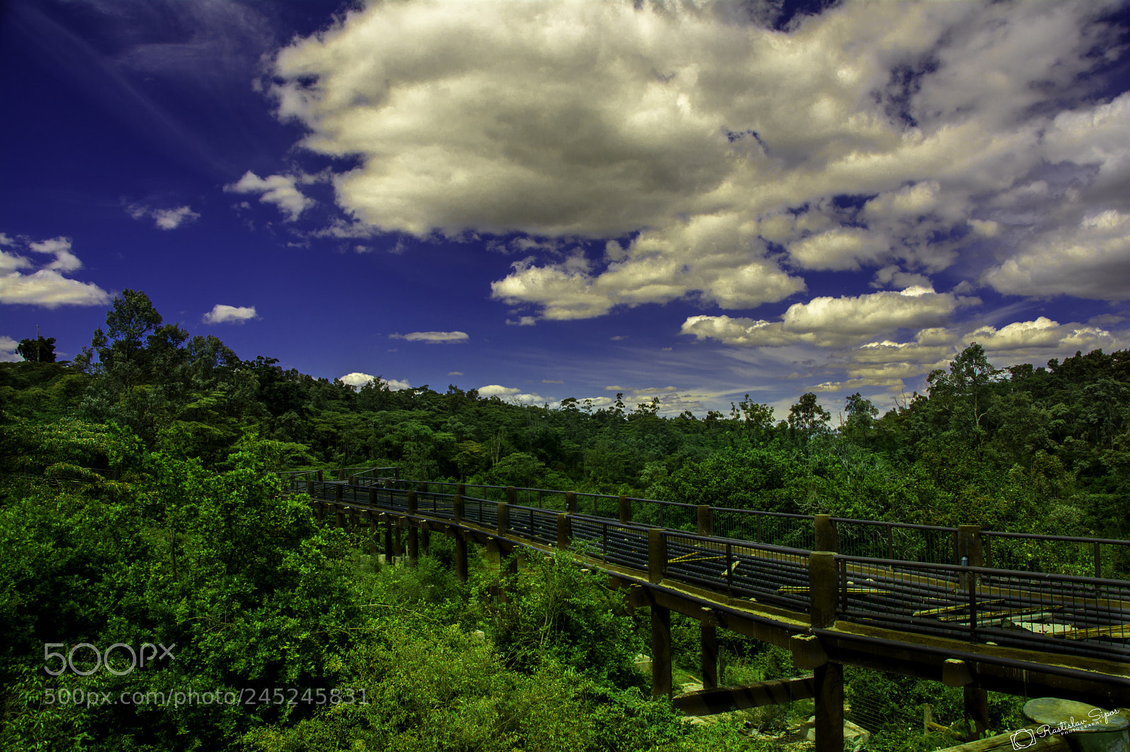 Nikon D7100 sample photo. Chill walk on the photography