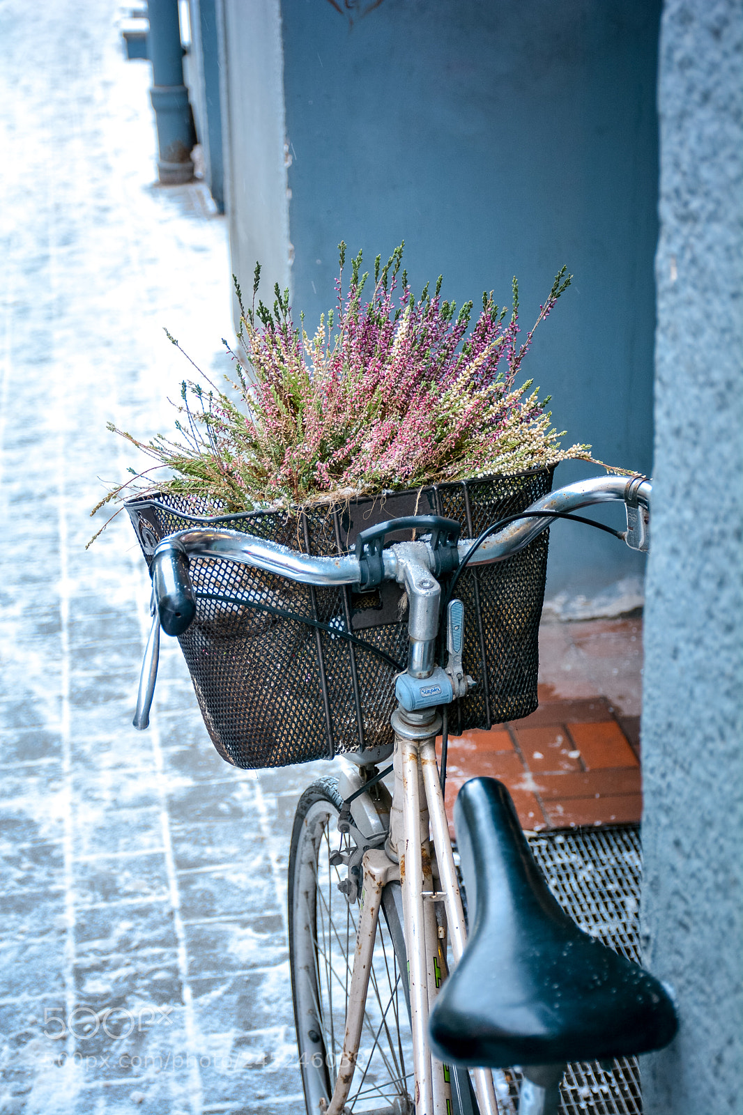 Nikon D7100 sample photo. Unusual photography