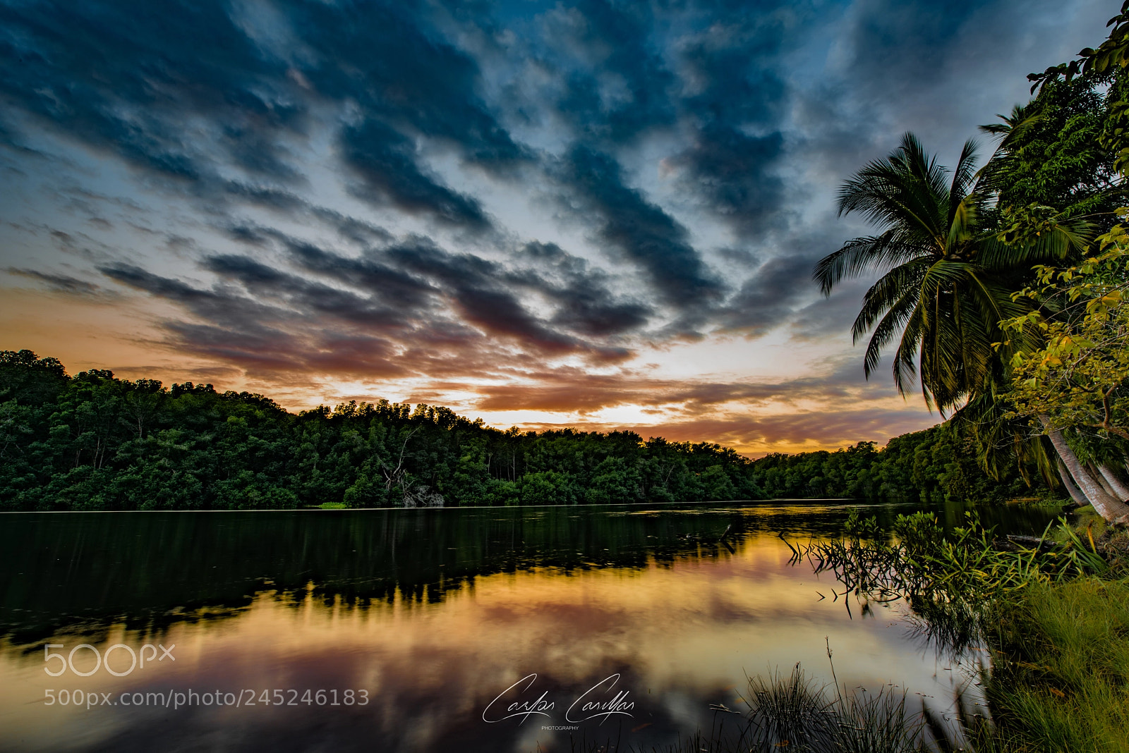 Nikon D810 sample photo. Sunset at the mangrove photography