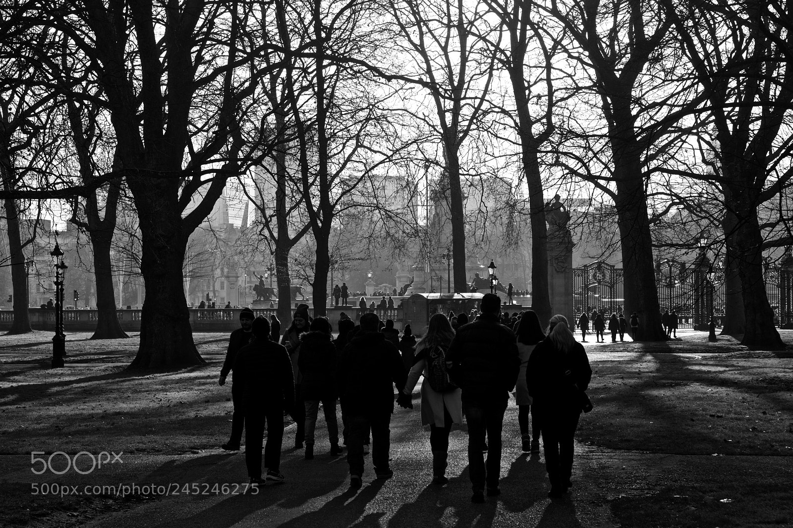 Nikon D7100 sample photo. Following the crowds to photography
