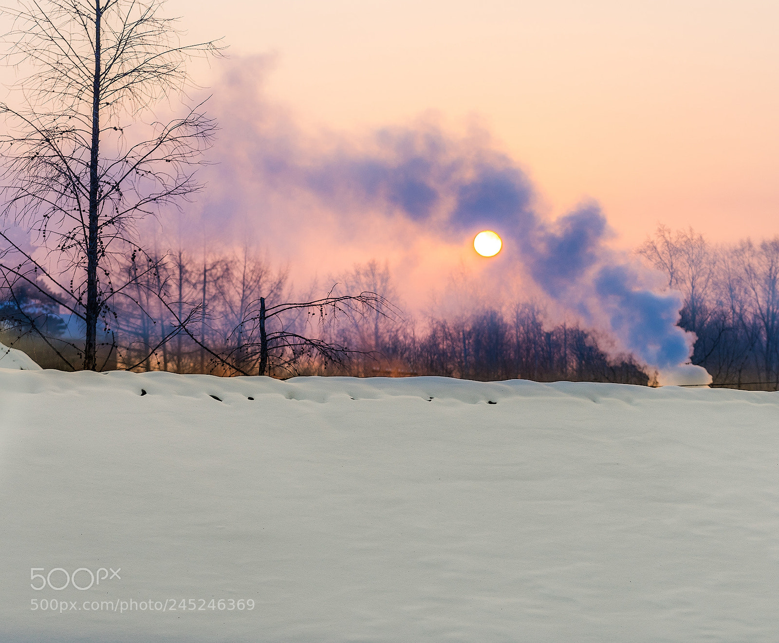 Sony a7R sample photo. Frosty dawn. photography
