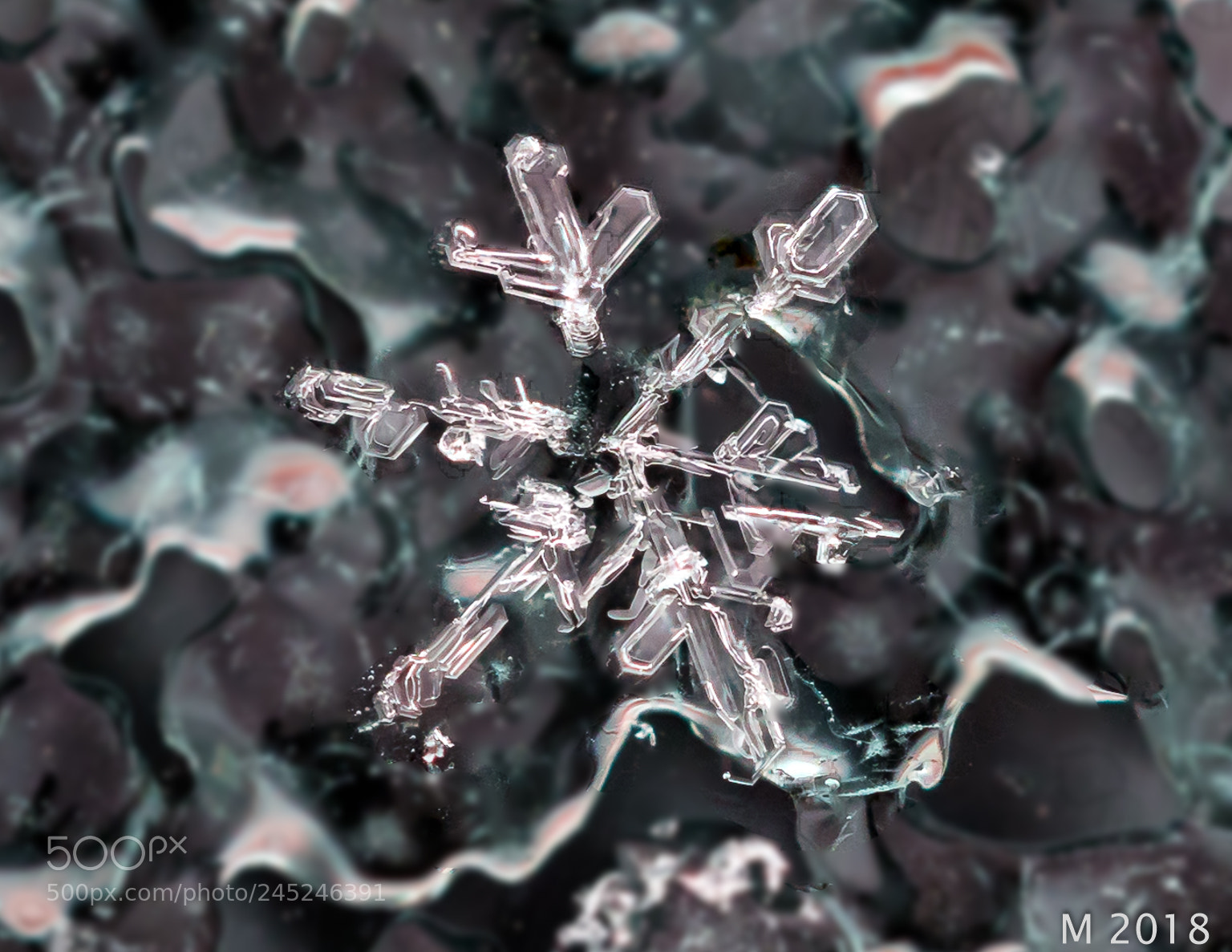 Canon EOS 5DS R sample photo. All snowflakes, no matter photography