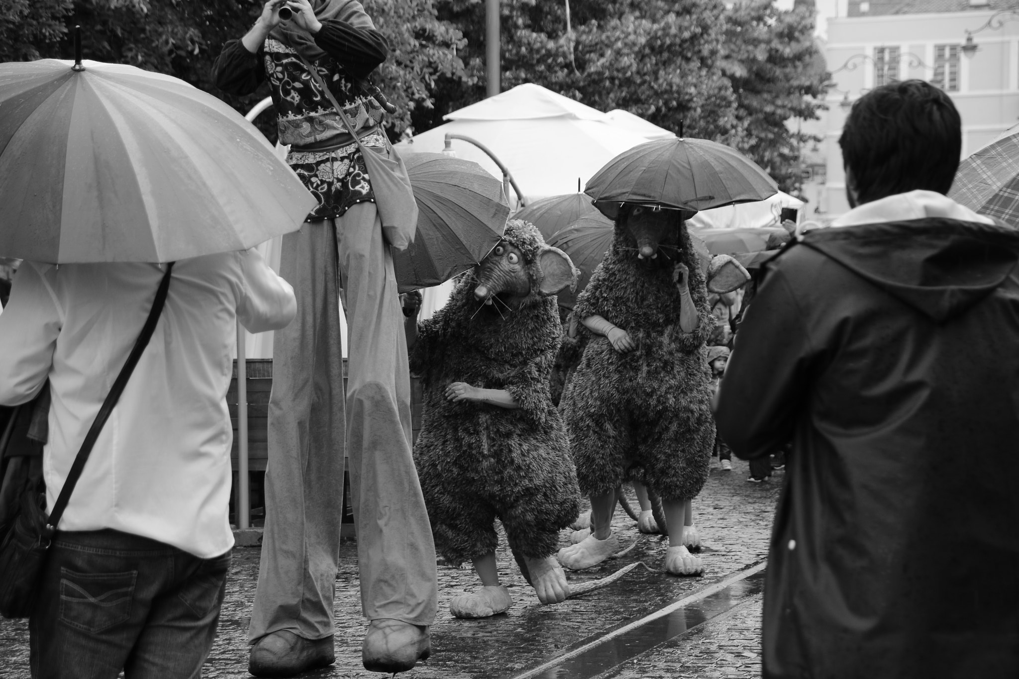Sigma 18-250mm F3.5-6.3 DC OS HSM sample photo. Raining photography