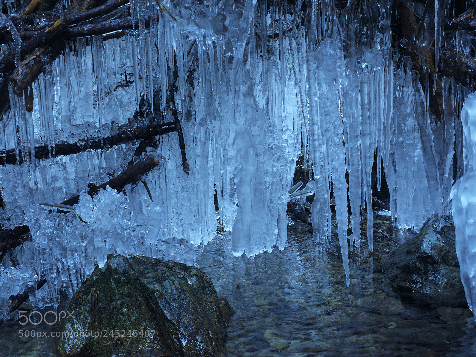 Olympus OM-D E-M1 sample photo. つらら　icicle photography