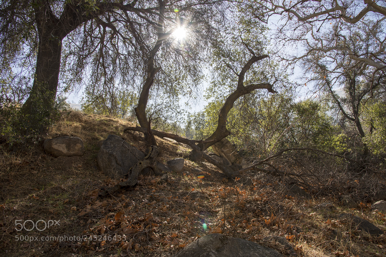 Nikon D810 sample photo. Upper richbar photography