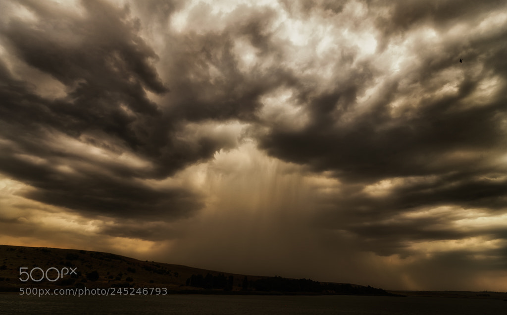 Canon EOS-1D X Mark II sample photo. Rain over the dam photography