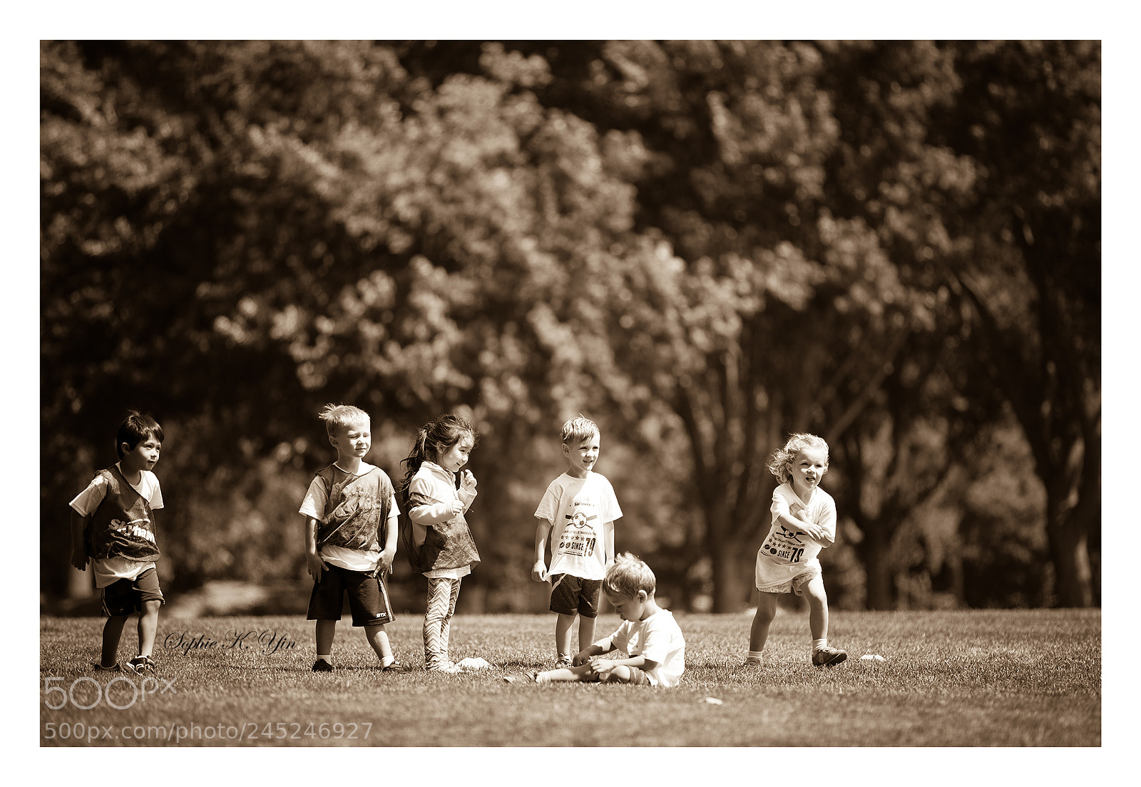 Canon EOS-1D X Mark II sample photo. We all live in photography