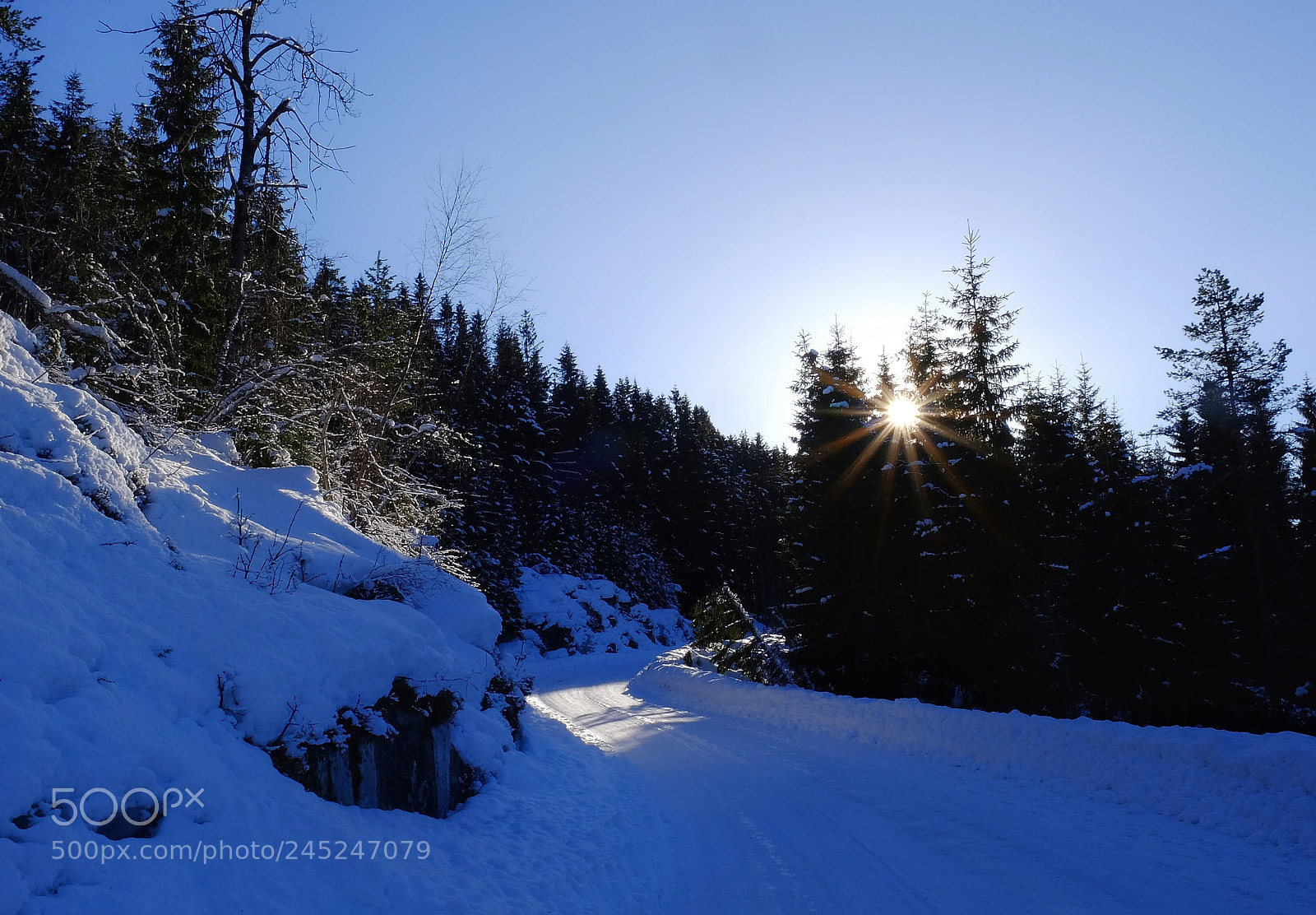 Fujifilm X-T1 sample photo. Wintertime photography
