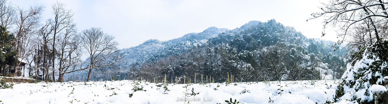 Canon EOS 6D Mark II sample photo. 南天竺雪景 photography
