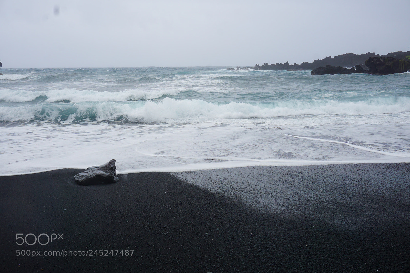 Sony a6000 + Sony E 18-50mm F4-5.6 sample photo. Dsc photography