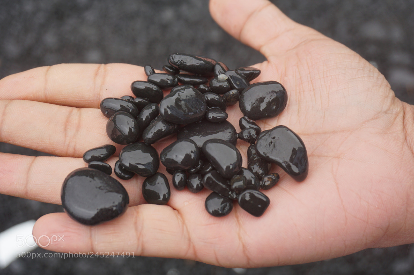 Sony a6000 + Sony E 18-50mm F4-5.6 sample photo. Dsc photography