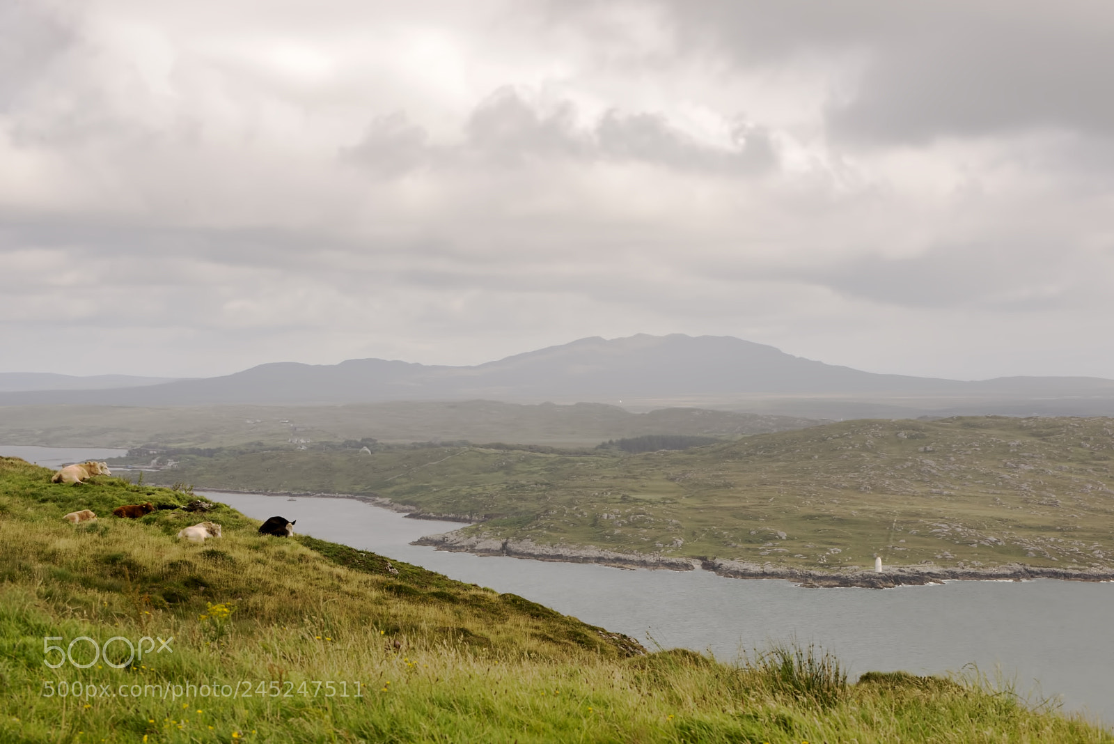 Nikon D600 sample photo. Cloudy outlook! (1) photography