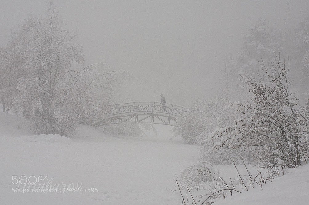 Canon EOS 5D sample photo. Schneesturm photography